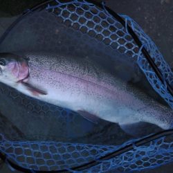 天竜川ルアーフライ専用区